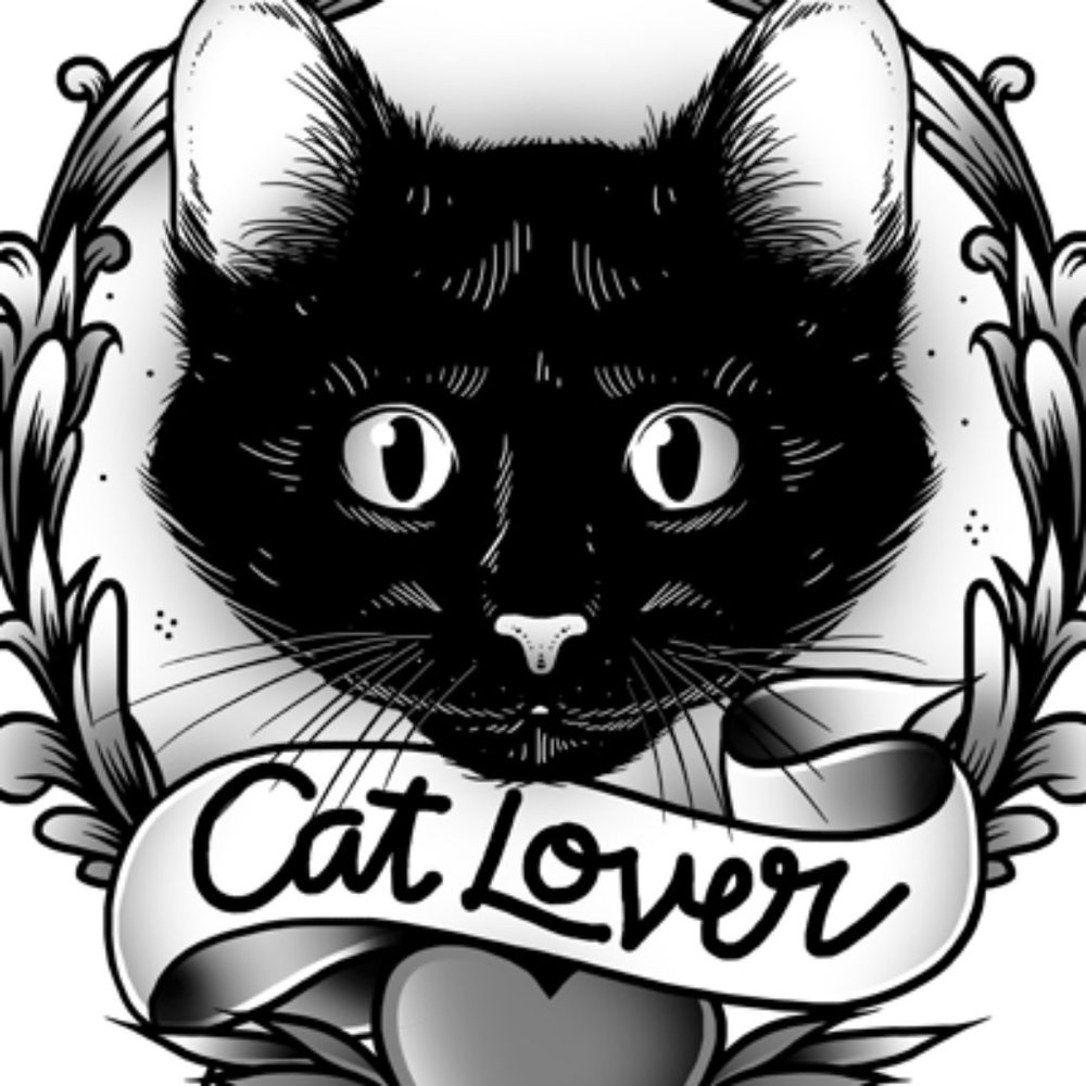 New!! Cat Lovers Surprise Gift Box!! Kitty Cat Fun